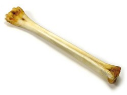 Deer Bone